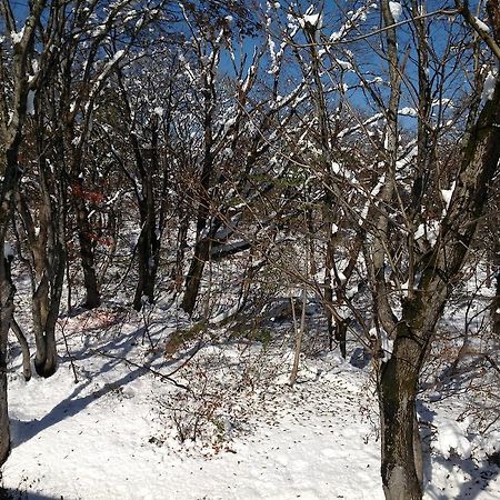 Myoko Kogen Pension Yamasan Екстериор снимка