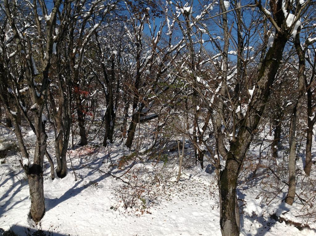 Myoko Kogen Pension Yamasan Екстериор снимка